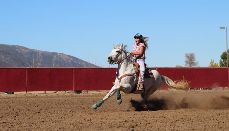 Breaking Barriers and Dominating the Rodeo World