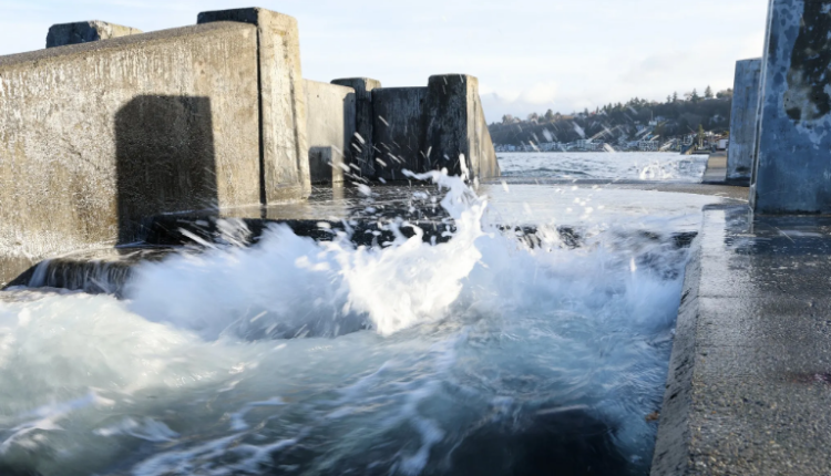 King Tides Bring Unique Phenomena to the Seattle Area: What You Need to Know