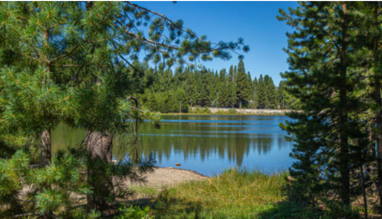Black-Led Conservation Team's Historic 650-Acre Acquisition Near Lake Tahoe In California