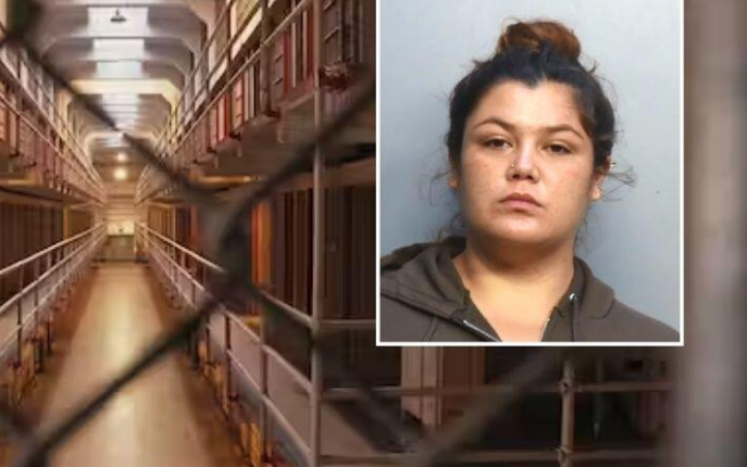Miami-Dade Jail Investigates Inmate Pregnancy Amidst Controversy and Security Concerns